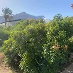 Casita Lily Feriehus *