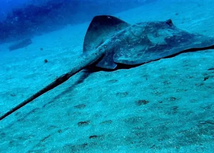 Casita Lily Casa de Férias