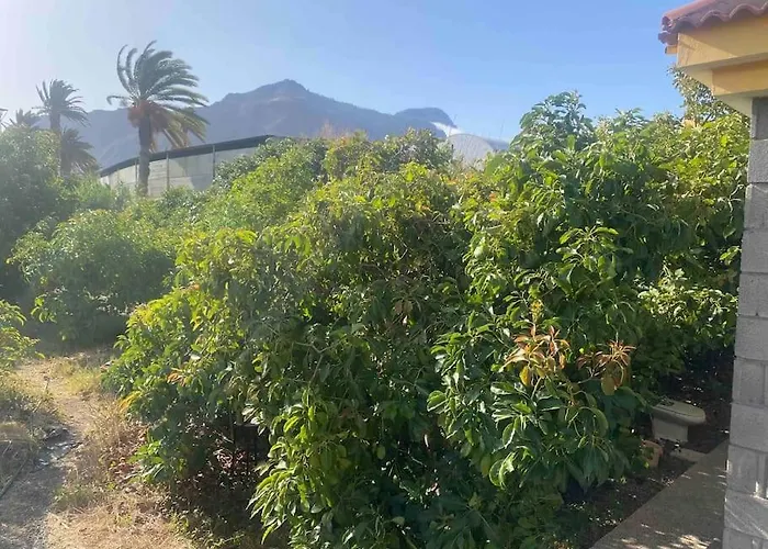 Casita Lily Ferienhaus *