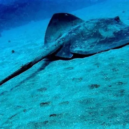 Casita Lily Vakantiehuis